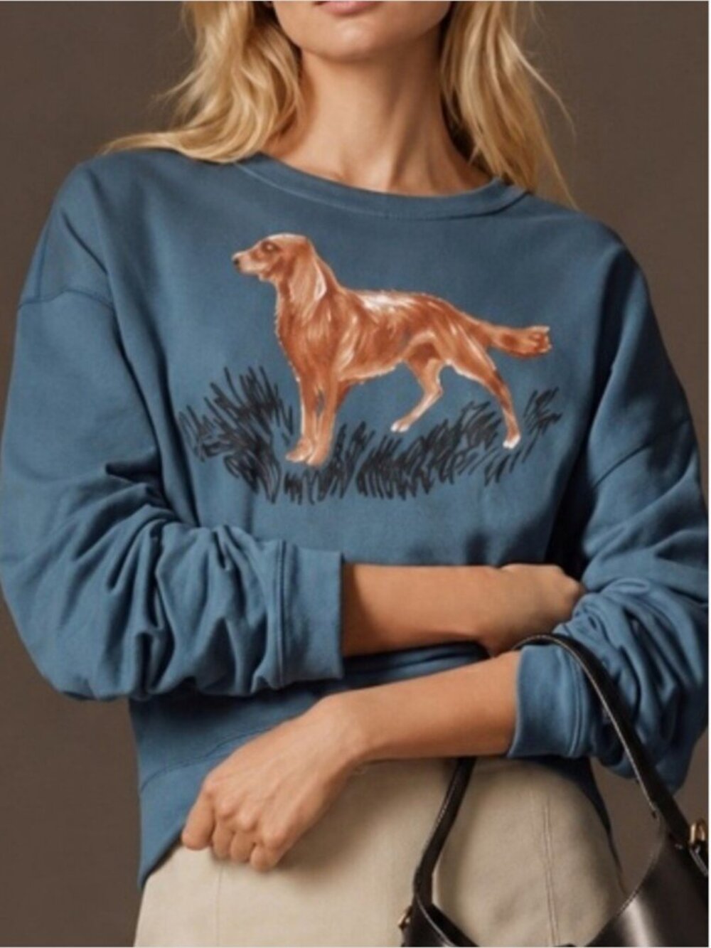 Anthropologie Golden Retriever Dog Graphic Blue Sweatshirt Pullover size 3X